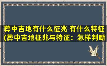 葬中吉地有什么征兆 有什么特征(葬中吉地征兆与特征：怎样判断葬中吉地？)